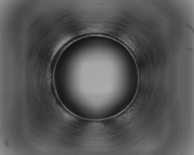 X0000097591119200803071314