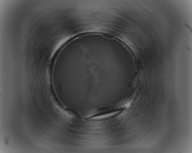 X0000097591120200803071314