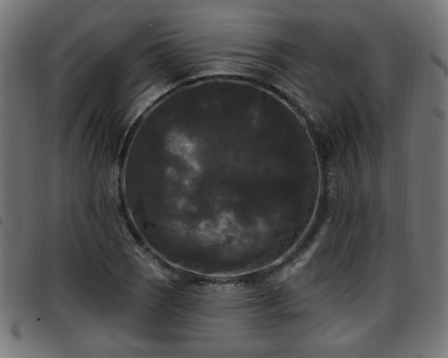 X0000097591121200803071314