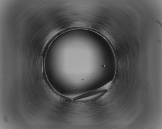 X0000097591123200803071314