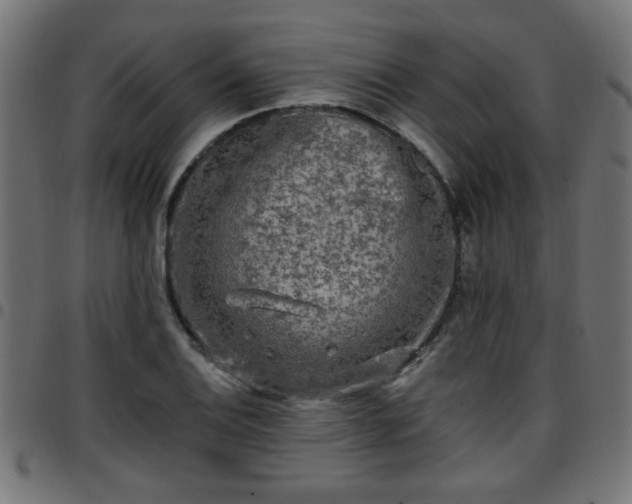 X0000097591124200803071314