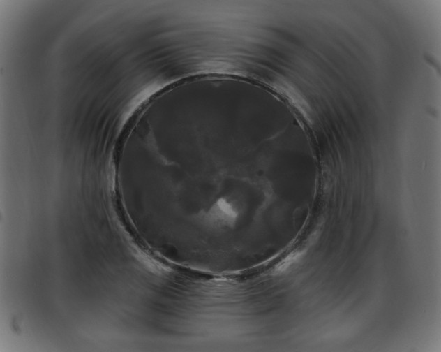 X0000097591125200803071314