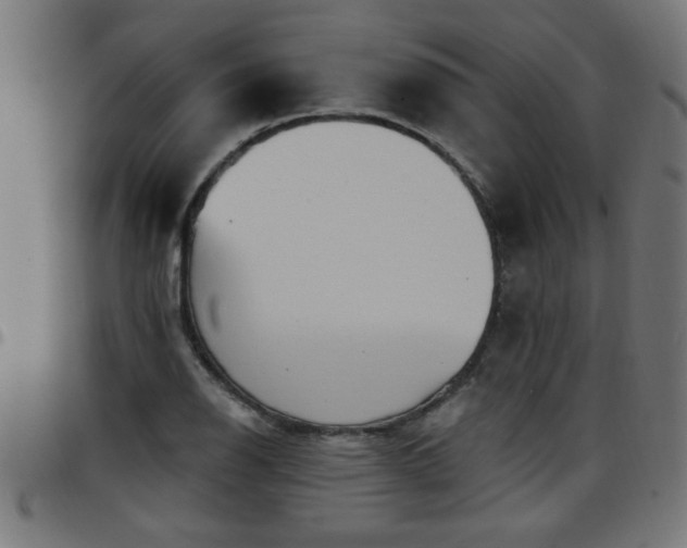 X0000097591126200803071314