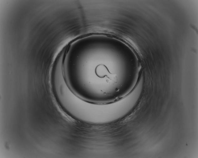 X0000097591128200803071314