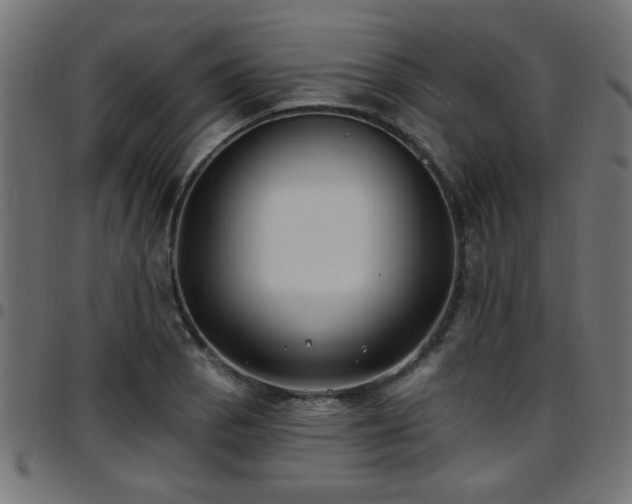 X0000097591129200803071314