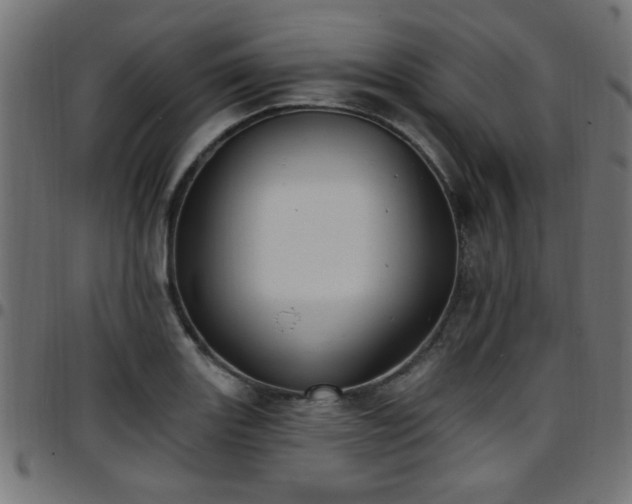 X0000097591131200803071314