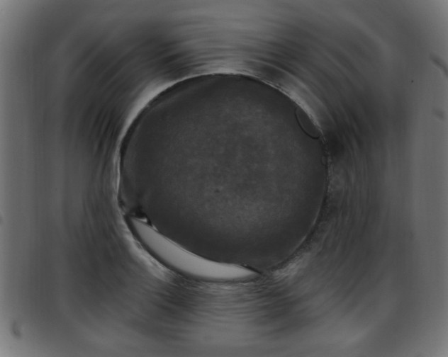 X0000097591132200803071314