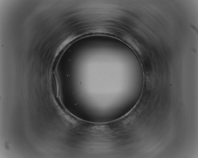 X0000097591133200803071314