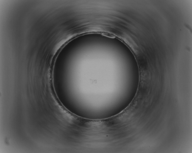 X0000097591134200803071314