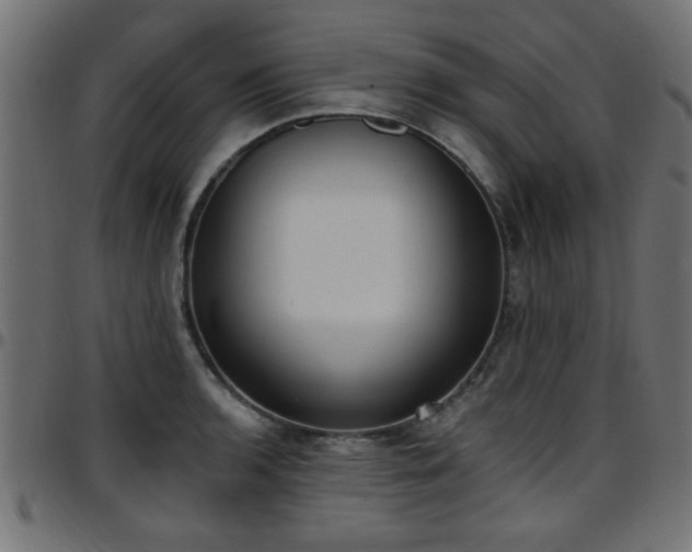 X0000097591136200803071315