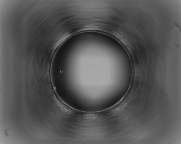 X0000097591137200803071315