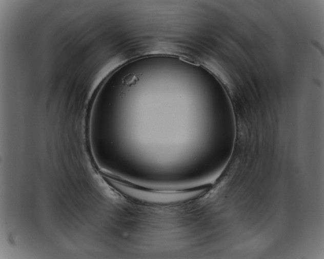 X0000097591138200803071315