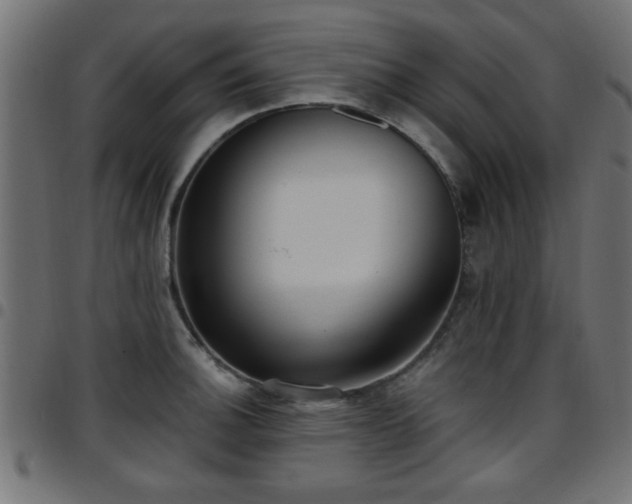 X0000097591140200803071315