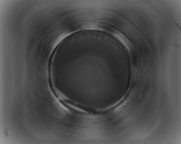 X0000097591141200803071315