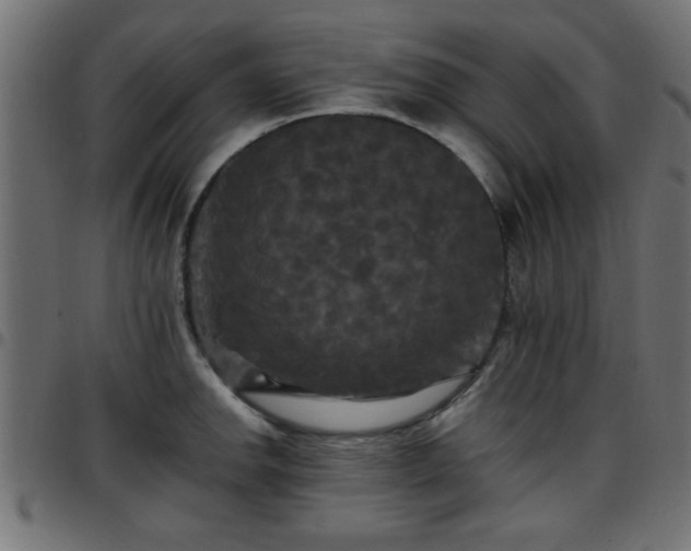 X0000097591142200803071315