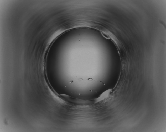 X0000097591143200803071315