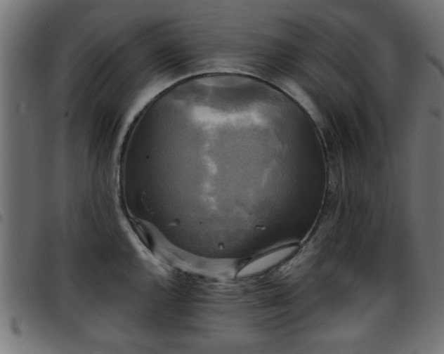 X0000097591144200803071315