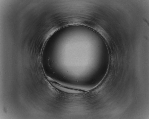 X0000097591145200803071315