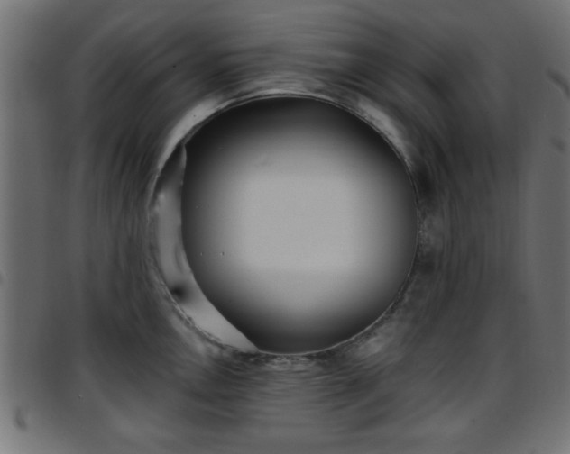 X0000097591146200803071315