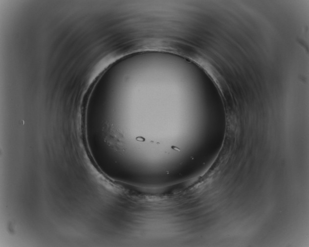 X0000097591147200803071315