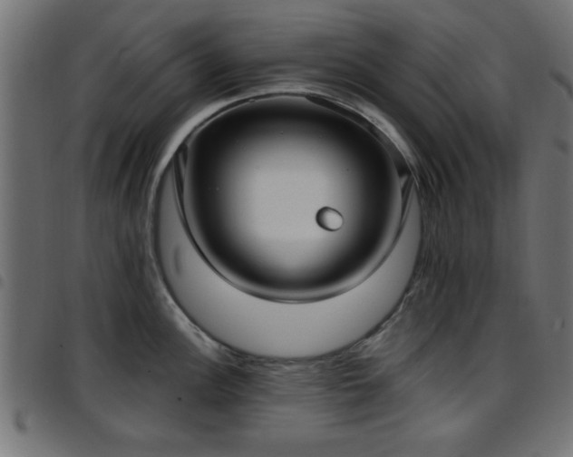 X0000097591148200803071315