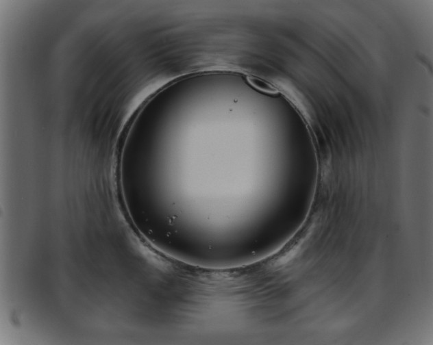 X0000097591149200803071315