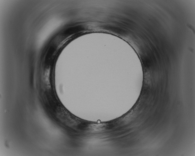 X0000097591150200803071315