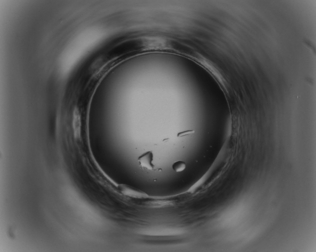 X0000097591151200803071315