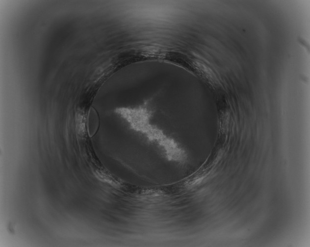 X0000097591154200803071314