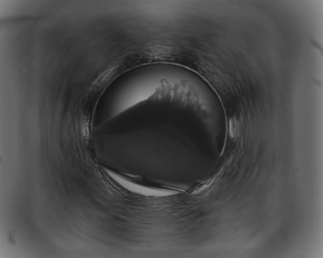 X0000097591155200803071314