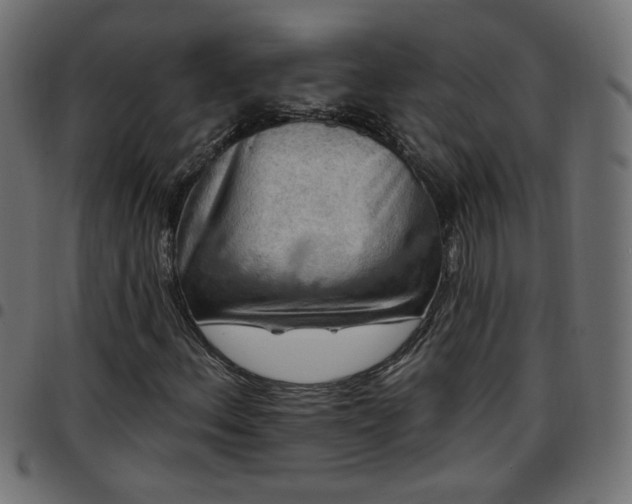 X0000097591156200803071314