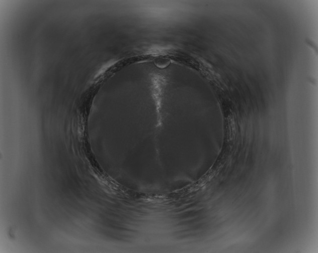 X0000097591158200803071314