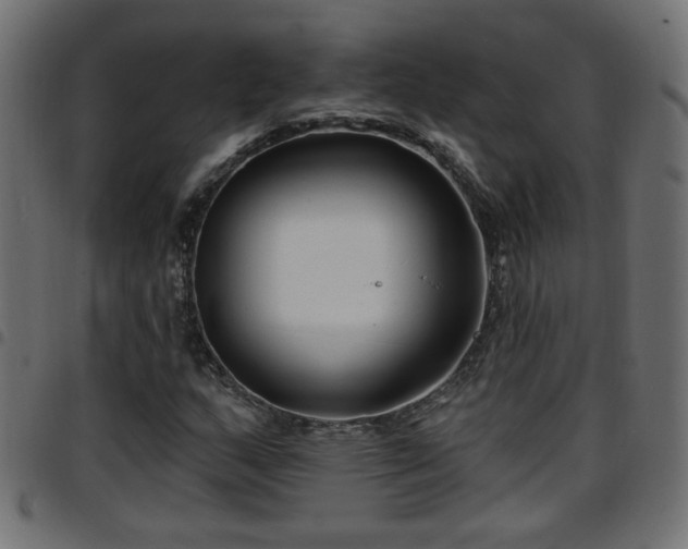 X0000097591159200803071314