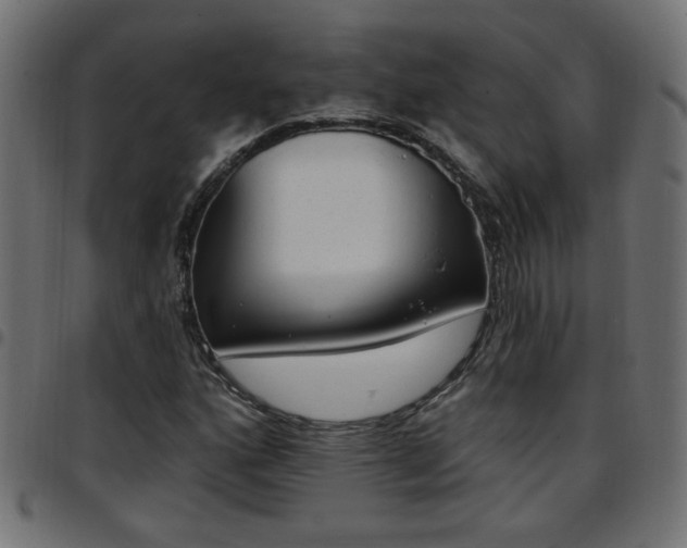 X0000097591160200803071314