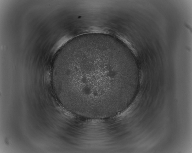 X0000097591163200803071314