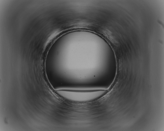 X0000097591164200803071314