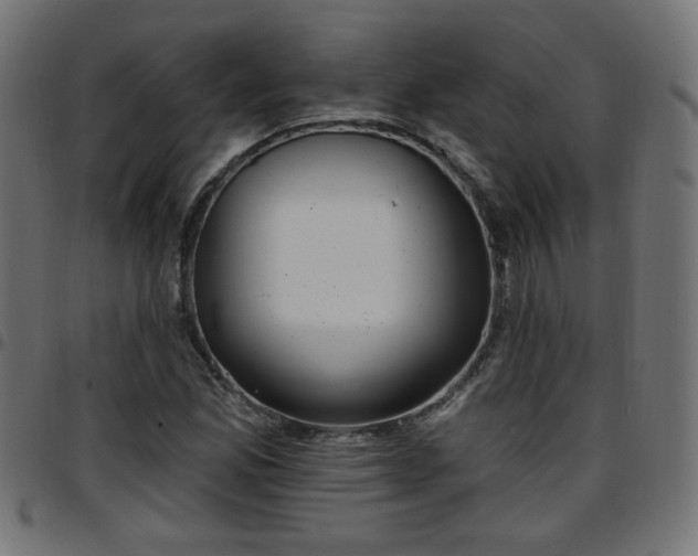 X0000097591165200803071314