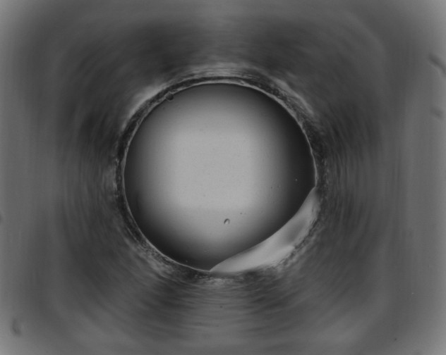 X0000097591166200803071314