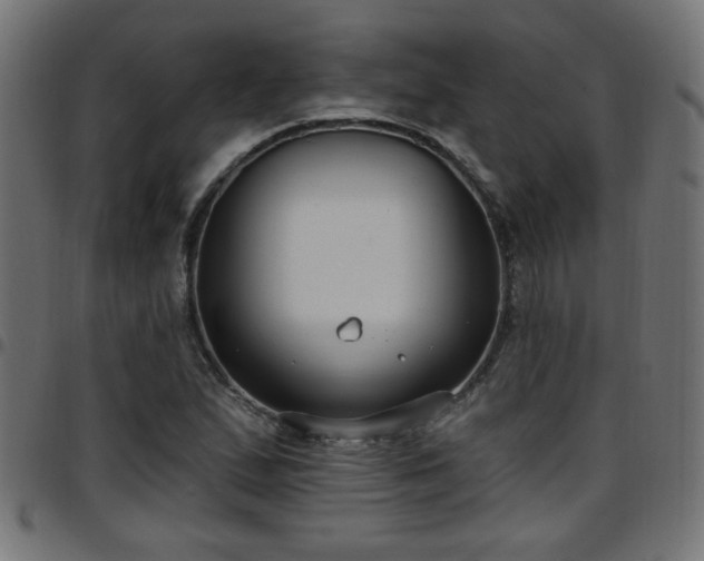 X0000097591167200803071314