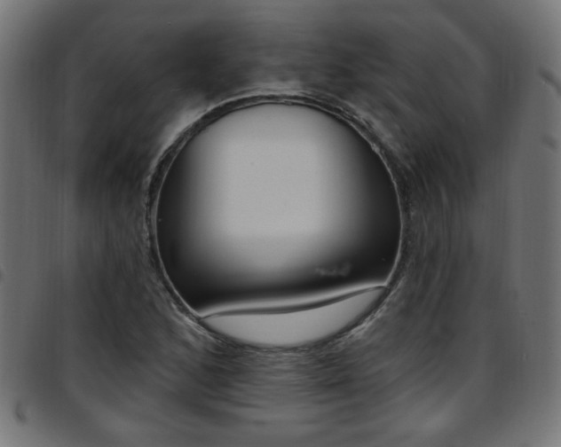 X0000097591168200803071314