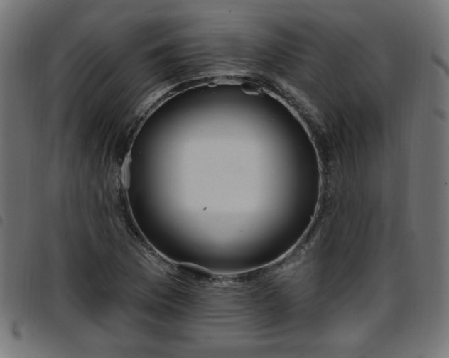 X0000097591169200803071314