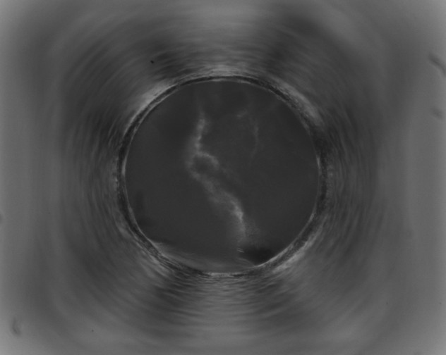 X0000097591170200803071314