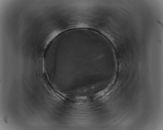 X0000097591171200803071314