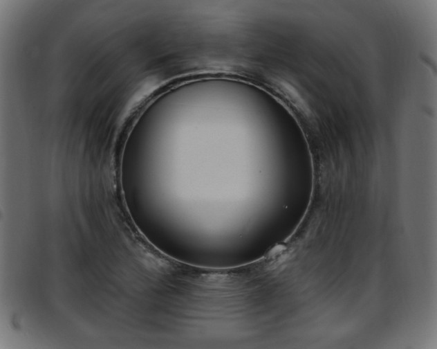 X0000097591172200803071314