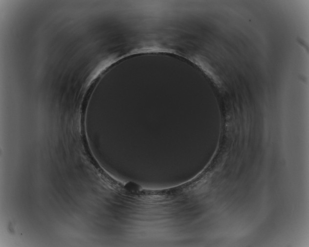 X0000097591173200803071314