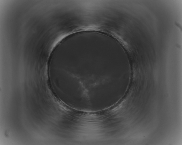 X0000097591174200803071314