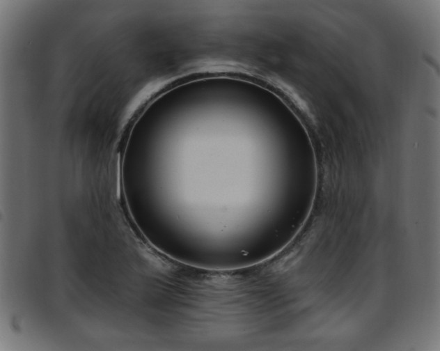 X0000097591175200803071314