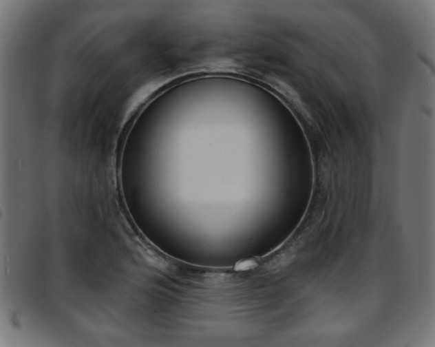 X0000097591176200803071314