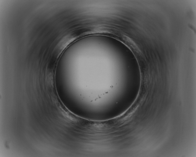 X0000097591177200803071314