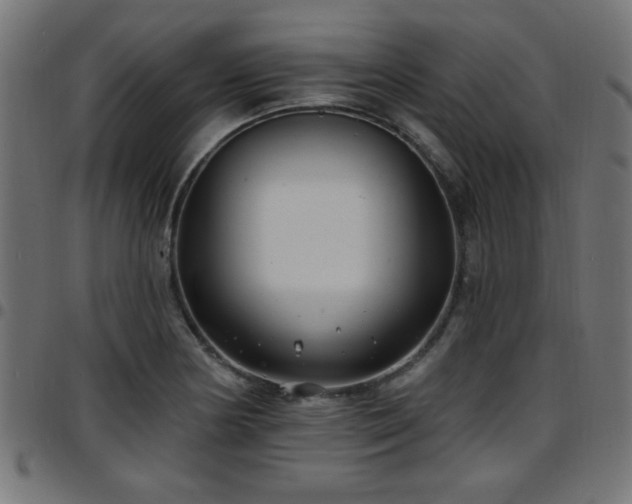 X0000097591178200803071314